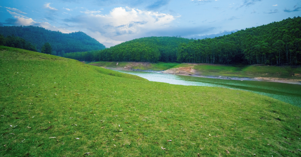 indian tour leisure & holiday packages