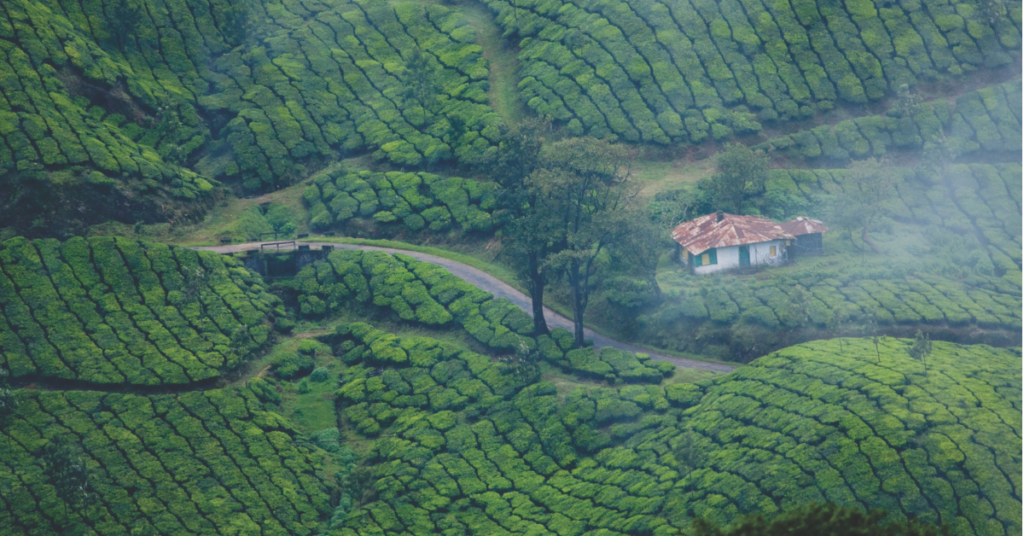 kerala munnar tour package