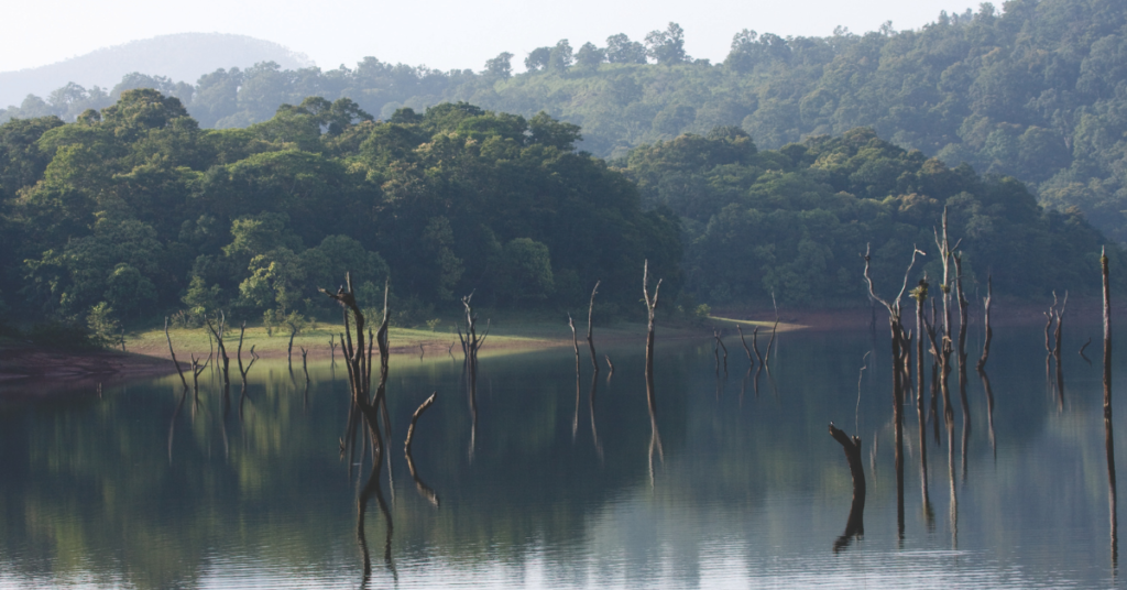 thekkady kerala tour